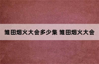 雏田烟火大会多少集 雏田烟火大会